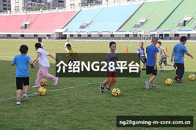 介绍NG28平台